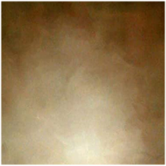 Brown Abstract Old Master Backdrop